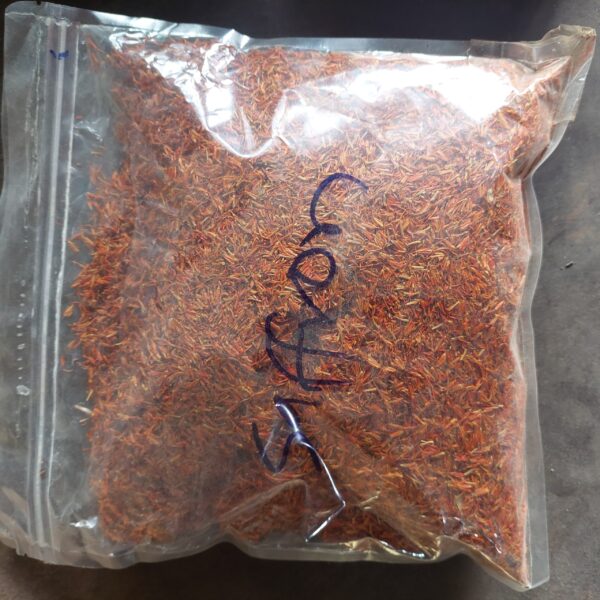 Saffron 1kg - Image 2